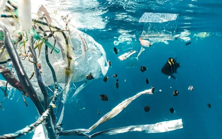 Estudio revela millones de toneladas de plástico en el fondo del océano