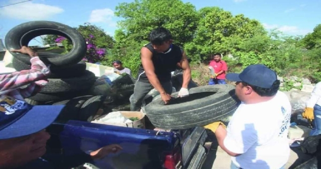 La brigada recorrerá las diversas localidades para retirar todos los cacharros de las viviendas.