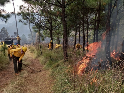 Se mantienen activos tres incendios forestales en Morelos