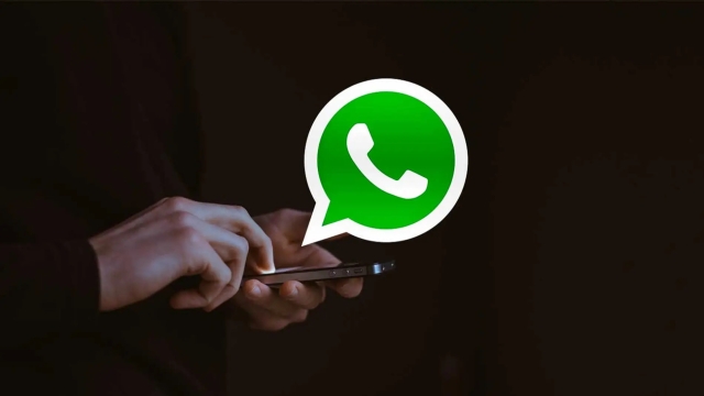WhatsApp trabaja en opci&oacute;n que eliminar&iacute;a mensajes tras su lectura
