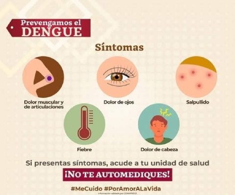 Autoridades llaman a eliminar criaderos para detener el crecimiento de los casos de dengue.  