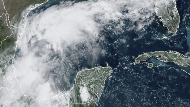 Se forma tormenta tropical Francine, amenaza Texas con intensas lluvias