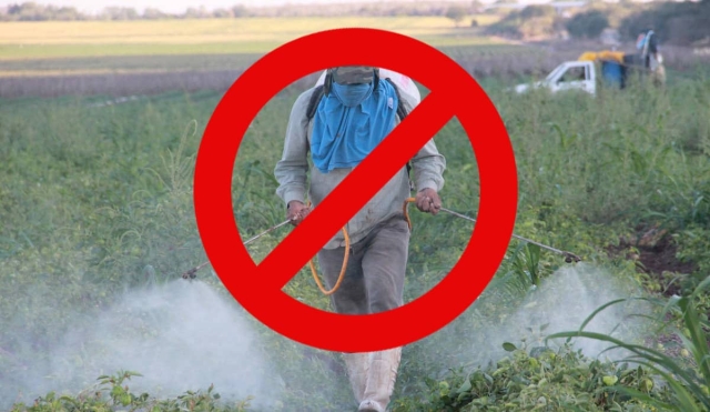Prohibición de plaguicidas aumentará costos de producción agrícola: CCC