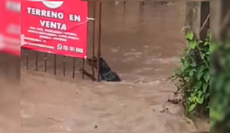 Captura de pantalla