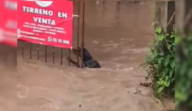 Captura de pantalla