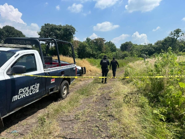 Los cuerpos fueron abandonados entre la maleza.