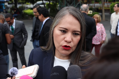 Se han presentado cuatro denuncias formales por anomalías en pasada administración, refiere consejera jurídica