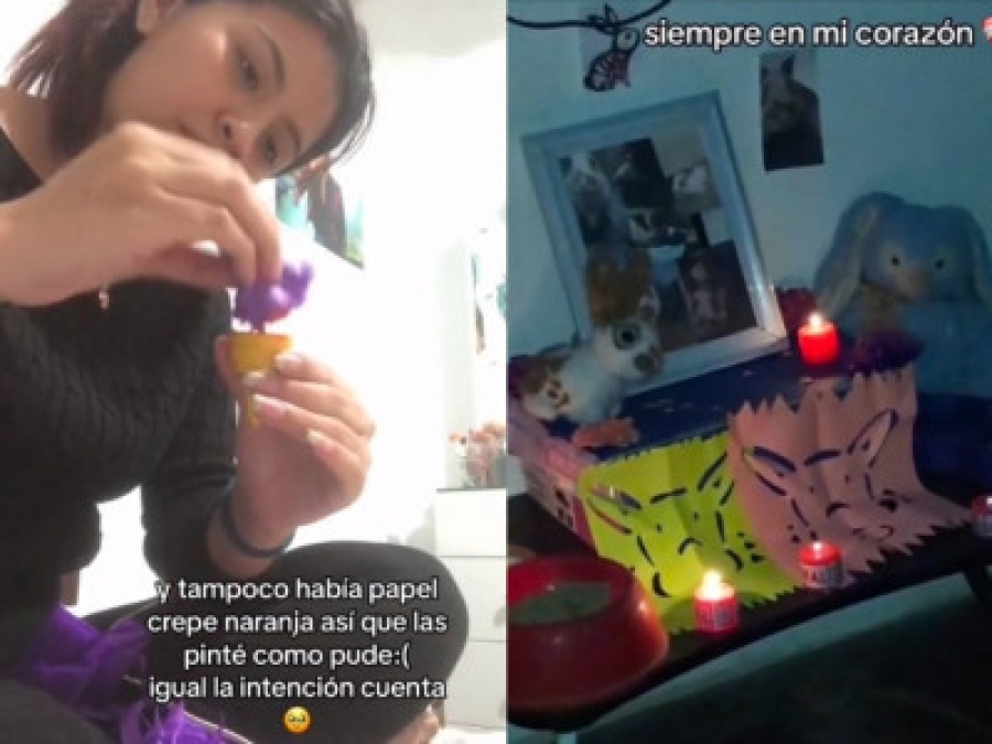 'Ya eres mexicana': Peruana celebra el Día de Muertos por su mascota y conquista redes sociales