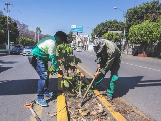 Es viable proyecto para retirar puentes peatonales