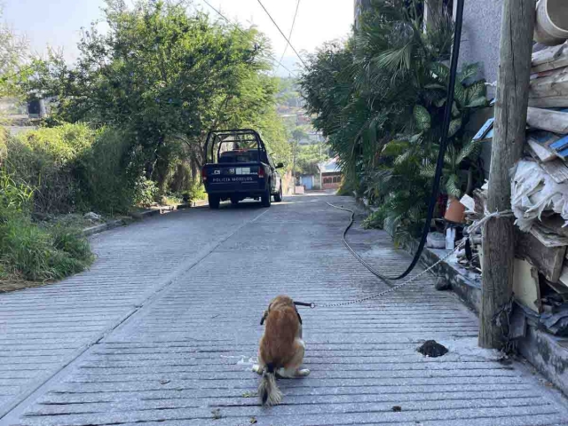 El crimen ocurrió al cuarto para las ocho de la mañana de ayer en esta colonia de Temixco.