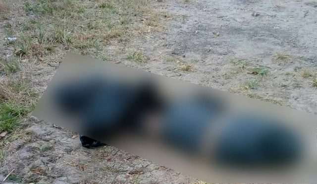 Abandonan un cadáver embolsado en Acatlipa