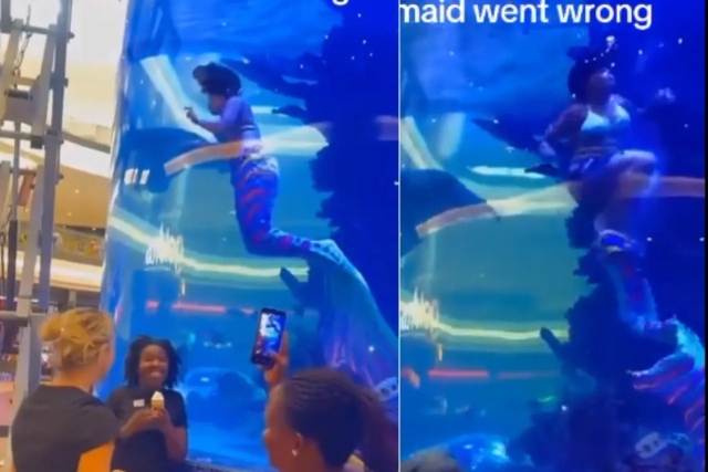 Drama bajo el agua: Mujer sirena atrapada en acuario casi se ahoga