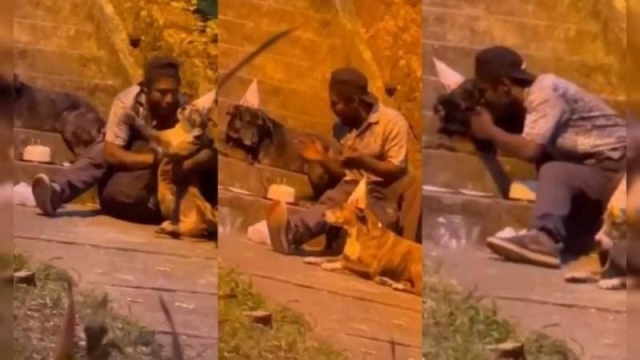 Hombre en situación de calle celebra cumpleaños de sus perritos.