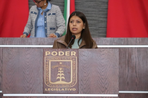 Impulsa diputada Eleonor Mart&iacute;nez G&oacute;mez atenci&oacute;n digna y diferenciada para mujeres en casos de muerte perinatal