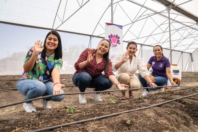 Rehabilita Dif Morelos invernadero en Tetecala