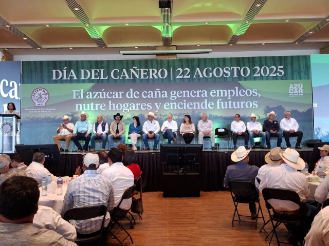 En marcha, programa de regulación y actuación en contra del contrabando y entrada ilegal de azúcar: Berdegué Sacristán