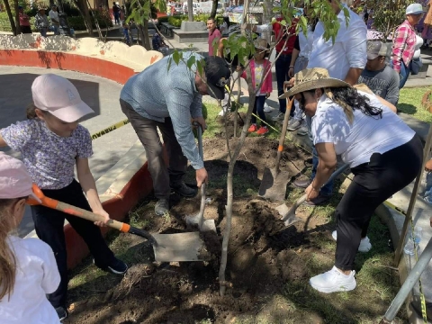 Impulsan en Yecapixtla jornada de reforestación