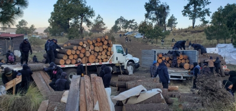 Decomisan 33.6 metros cúbicos de madera en operativo coordinado en Huitzilac