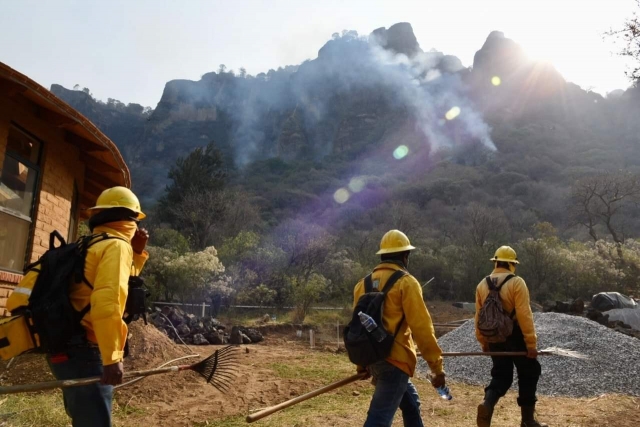 Refiere EEMI 70% de control y 50% de liquidación en incendio forestal en Malinalapa