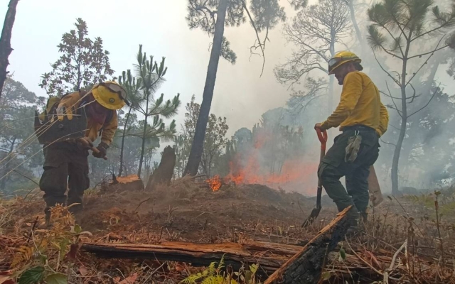 Registran 12 incendios forestales en este año