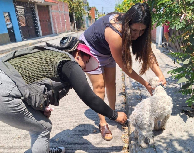 Ampl&iacute;an cobertura de vacunaci&oacute;n antirr&aacute;bica en la regi&oacute;n oriente