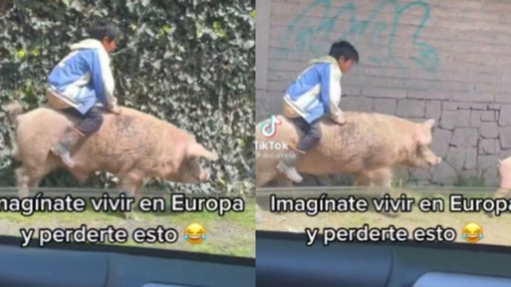 &quot;Puercomóvil&quot;:Captan a niño montado sobre un cerdo a toda velocidad