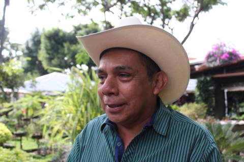 Productores temen caída de precios de maíz y sorgo  