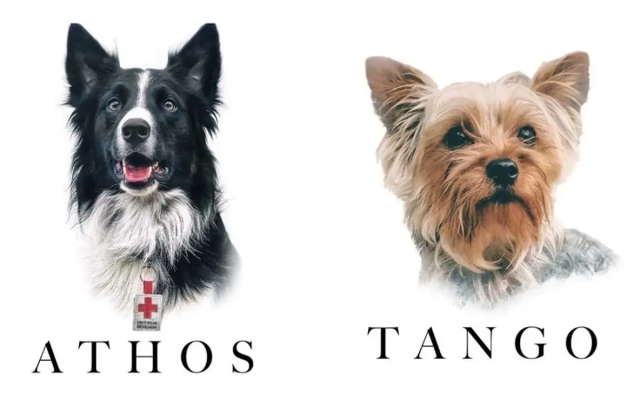 Declaran culpable a sujeto que envenenó a Athos y Tango, perritos rescatistas