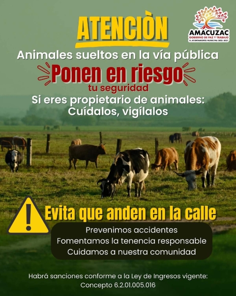 Amacuzac aplicar&aacute; sanciones por animales sueltos en la v&iacute;a p&uacute;blica