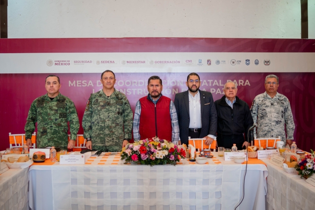 Pide Mesa de Coordinación Estatal a municipios supervisar horarios de venta de alcohol en carnavales