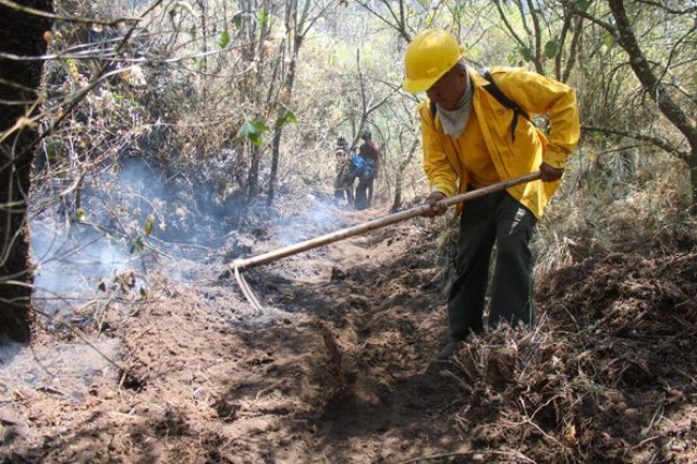 90% de control y 60% de liquidación en incendio forestal &#039;Lechuguillas&#039;