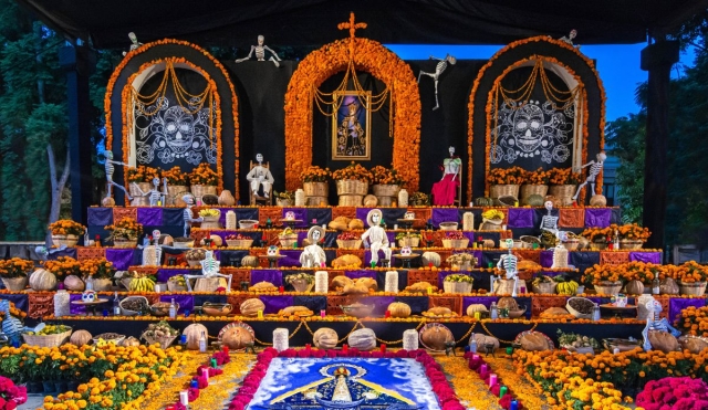  Marriott Bonvoy Traveler