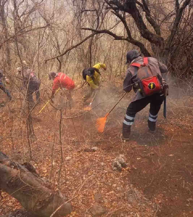 Las brigadas llevan varios días trabajando en la zona del siniestro.