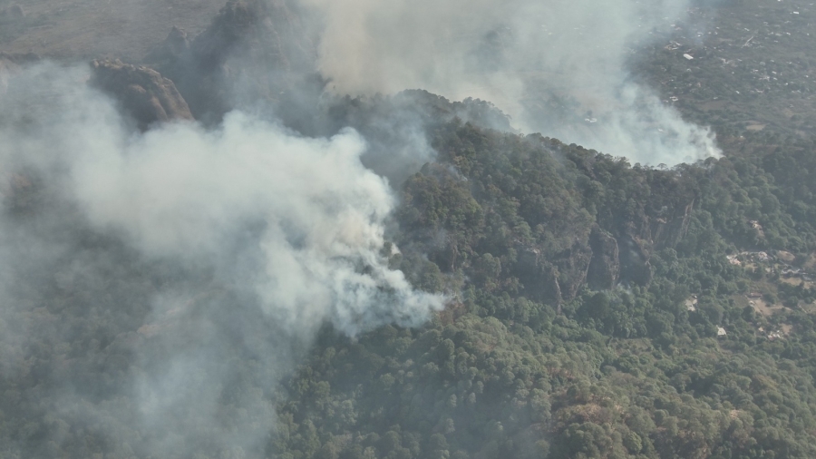 Incendio forestal en paraje 'Las tirolesas' de Santo Domingo Ocotitlán, en Tepoztlán