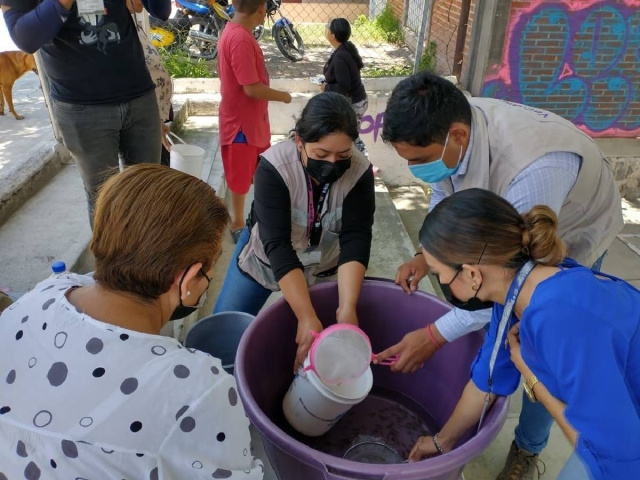 Brigadas recorren domicilios y demás inmuebles para eliminar criaderos potenciales del mosco transmisor del dengue y otras enfermedades.