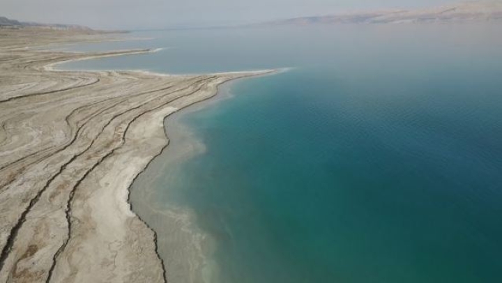 3 criaturas que viven en el Mar Muerto