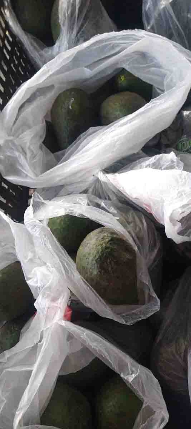 Octubre es el mejor mes para la venta de aguacates