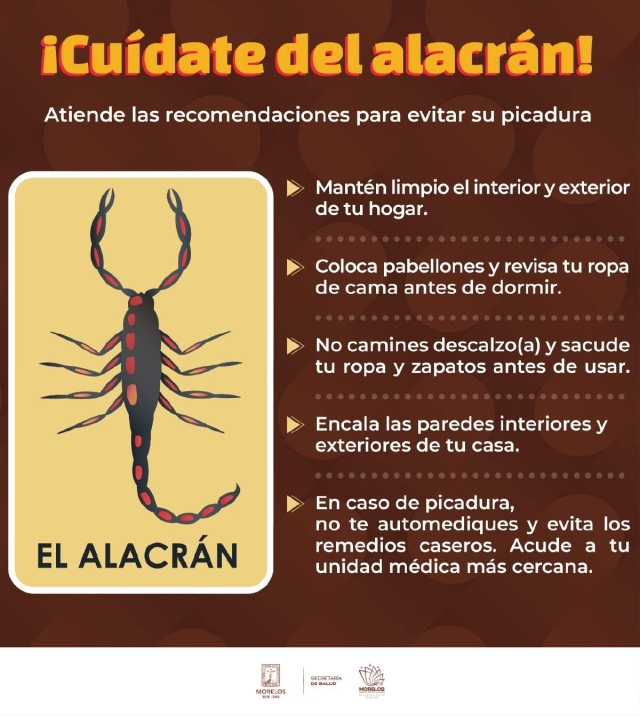 El gobierno estatal difunde recomendaciones para prevenir la picadura de alacrán.