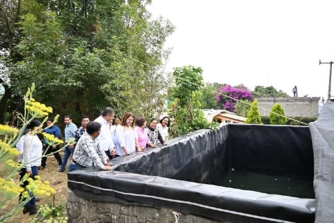 Fortalece gobierno de Morelos producción de aguacate y durazno en Hueyapan