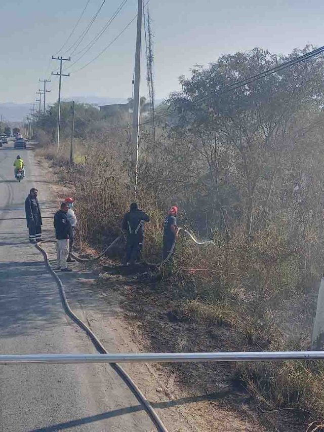 Se busca evitar daños a la flora y la fauna.