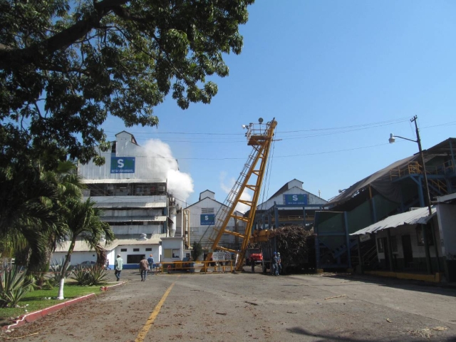  Se espera que en los próximos días comience el pago de las liquidaciones finales de la caña de azúcar en el IEZ, que tiene el mejor rendimiento en cuanto a producción de azúcar.