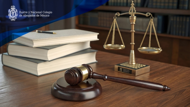 Colegio de Abogados ofrece apoyo legal a afectados por marcha del 15N