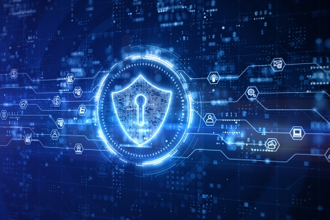 Se crea en México la Dirección General de Ciberseguridad