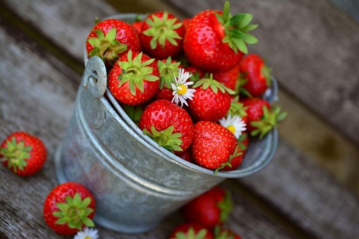 Cómo germinar semillas de fresa para cultivarlas fácilmente en casa