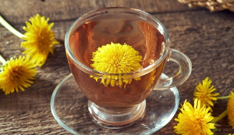 Infusión de diente de león, el aliado natural contra la retención de líquidos