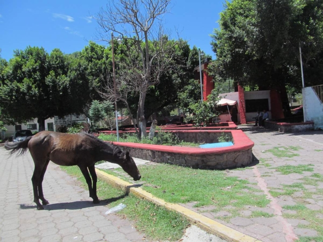  La comunidad de Quilamula será sede de la primera Feria del Queso, este sábado, en Tlaquiltenango.