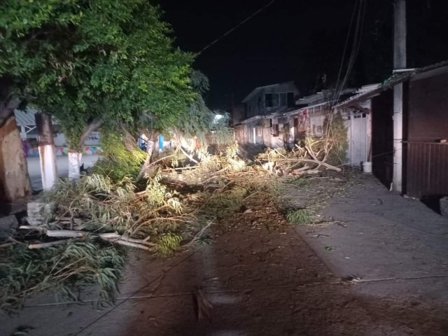 Apagones y caída de internet y árboles causan las lluvias y vientos