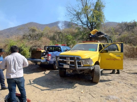 Brigadas de diversas corporaciones participan en los trabajos.