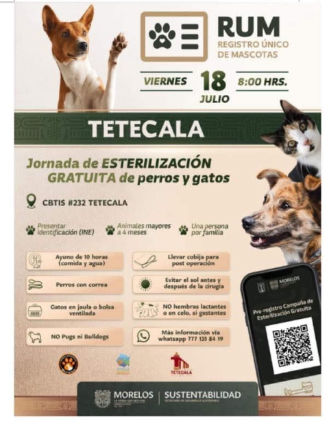 Invitan a jornada de esterilización gratuita en Tetecala