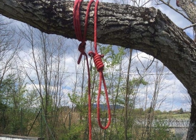 Se quitó la vida al colgarse de un árbol